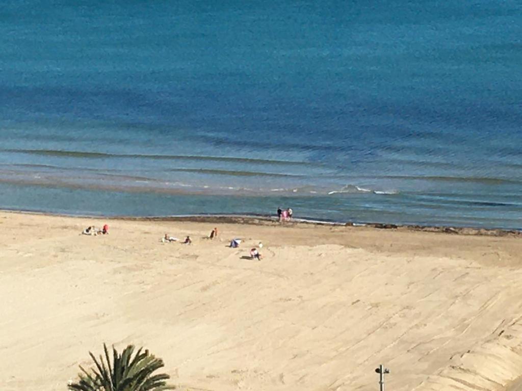Texas Apartman Alicante Kültér fotó